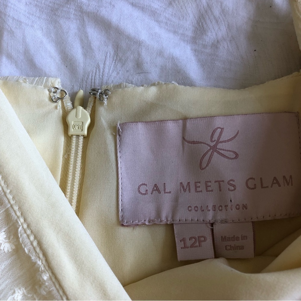Gal Meets Glam Helena Ruffle Mini Dress - Picture 7 of 15